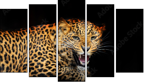 Portrait of leopard in its natural habitat - Five-piece canvas print, Pentaptych