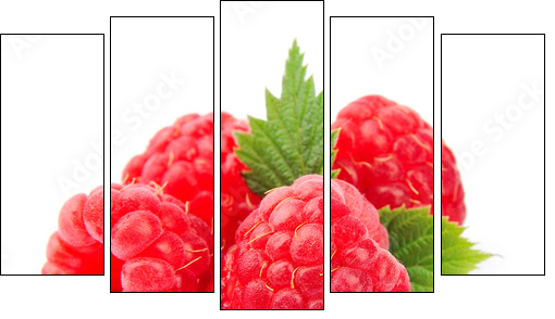 Sweet raspberry with leafs - Five-piece canvas print, Pentaptych
