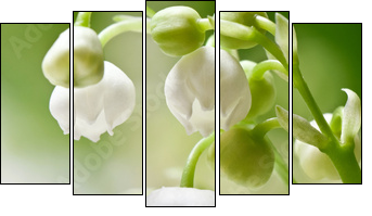 Delicate flowers on a branch of lily of the valley - Five-piece canvas print, Pentaptych