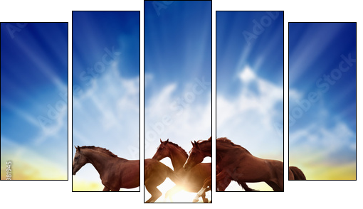 Running horses - Five-piece canvas print, Pentaptych