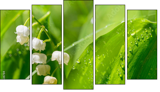 Lilly of the valley - Five-piece canvas print, Pentaptych