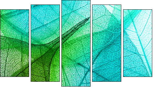 Macro leaves background texture - Five-piece canvas print, Pentaptych