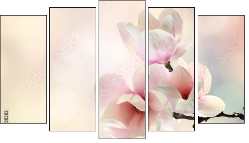magnolia - Five-piece canvas print, Pentaptych
