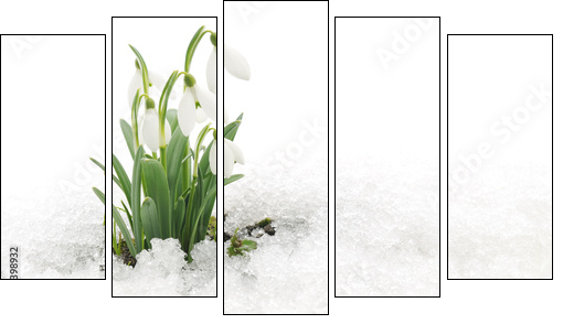 Snowdrops and Snow - Five-piece canvas print, Pentaptych