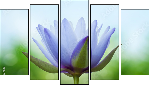 Blue lotus on spring background - Five-piece canvas print, Pentaptych