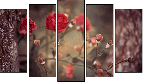 wild roses bush branches between tree branches - Five-piece canvas print, Pentaptych