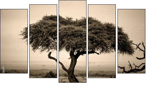 Lone acacia tree with gazelles in sepia - Five-piece canvas print, Pentaptych