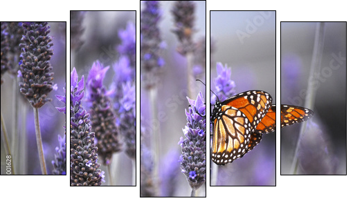 Butterfly with lavenders - Five-piece canvas print, Pentaptych