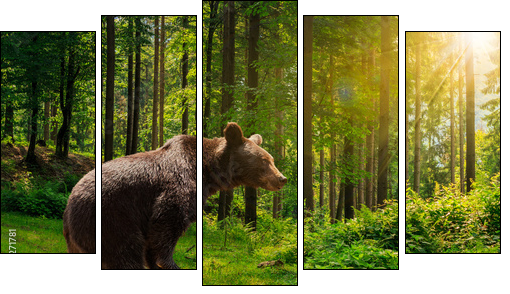 curious little bear in the forest - Five-piece canvas print, Pentaptych
