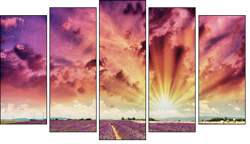 Lavender meadows in summer, Provence - France - Five-piece canvas print, Pentaptych