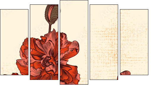 Grunge  background with hand drawn poppy flowers and butterfly - Five-piece canvas print, Pentaptych