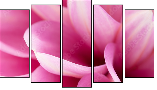 Pink dahlia close-up - Five-piece canvas print, Pentaptych