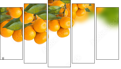 tangerine trees - Five-piece canvas print, Pentaptych