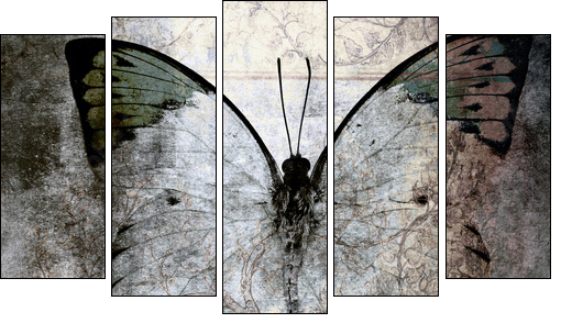 butterfly - Five-piece canvas print, Pentaptych