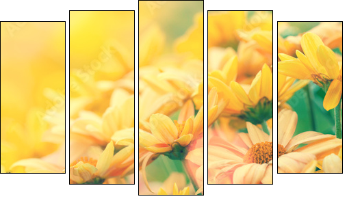 Vintage flower lawn for background - Five-piece canvas print, Pentaptych