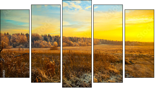 Field, forest, dry grass - beautiful landscape at sunset - Five-piece canvas print, Pentaptych