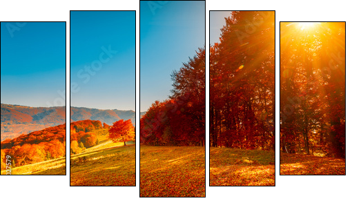 Colorful autumn landscape - Five-piece canvas print, Pentaptych