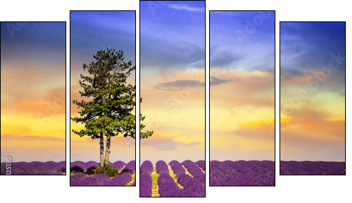LAVENDER IN SOUTH OF FRANCE - Five-piece canvas print, Pentaptych
