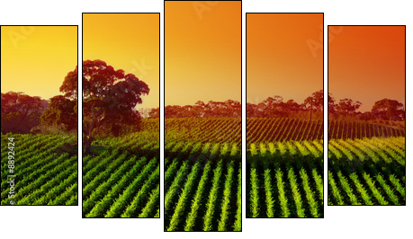 Beautiful Vineyard Landscape with large gum tree - Five-piece canvas print, Pentaptych