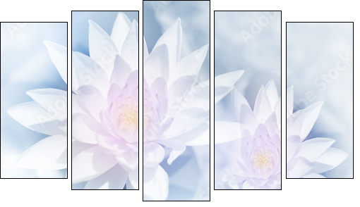 vivid color lotus in soft style for background - Five-piece canvas print, Pentaptych
