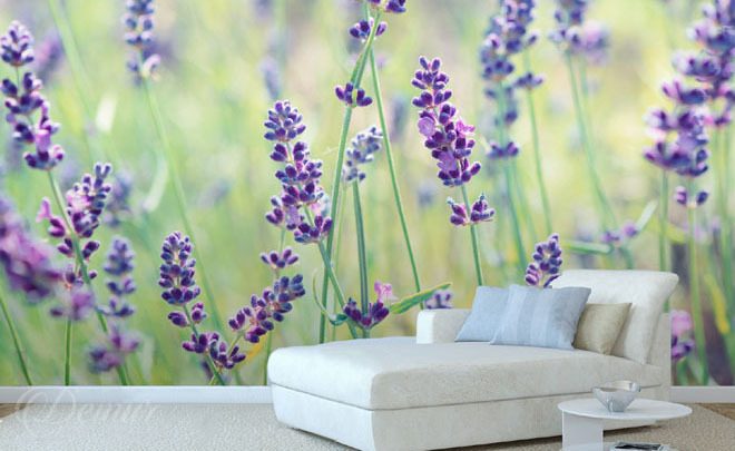A-lavender-paradise-flower-wallpapers-demur