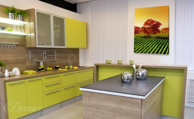 Energizing-kitchen-kitchen-canvas-prints-demur