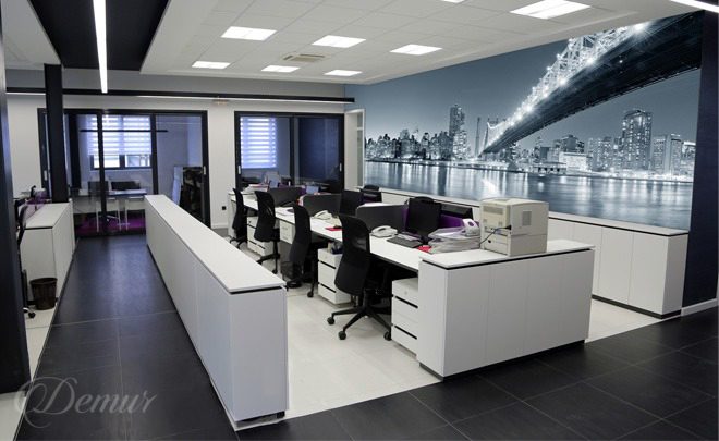 The-shine-of-new-york-office-wallpapers-demur