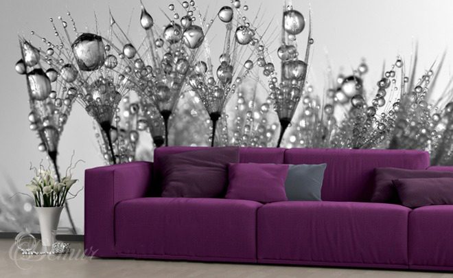 Sprinkled-dandelions-living-room-wallpapers-demur