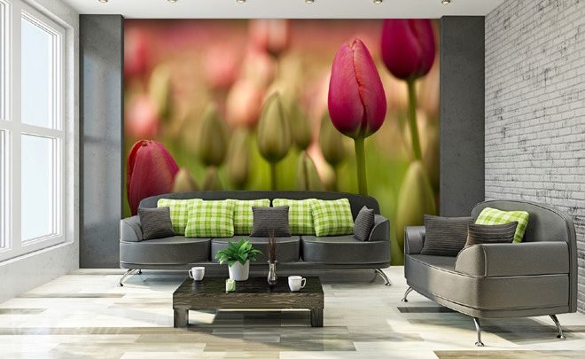 A-tulip-paradise-flower-wallpapers-demur