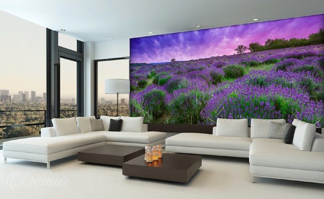 The-lavender-paradise-provence-wallpapers-demur