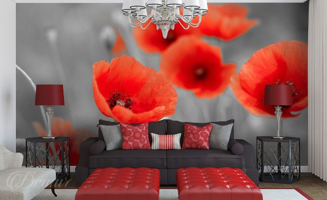 An-exquisite-poppy-seed-cake-poppy-wallpapers-demur