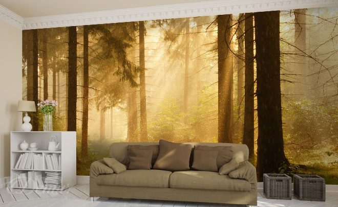 Large-woodlands-forest-wallpapers-demur