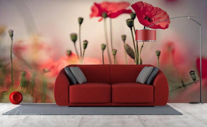 Red-poppies-poppy-wallpapers-demur