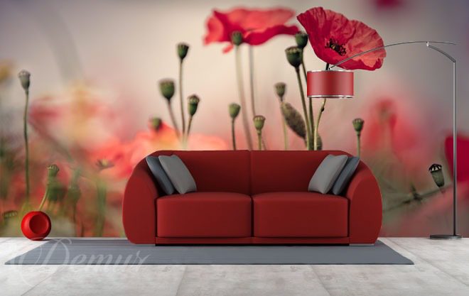 Red-poppies-poppy-wallpapers-demur