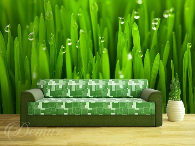 Greenery-sprinkled-with-dew-grass-wallpapers-demur