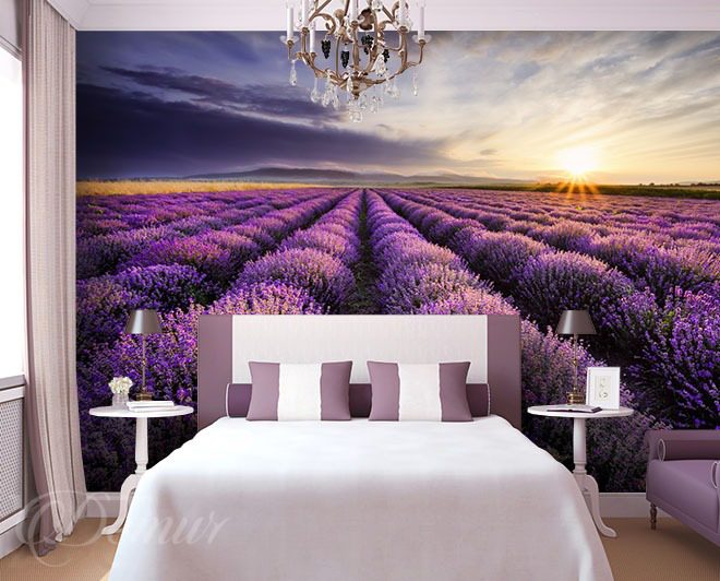 A-lavender-field-provence-wallpapers-demur