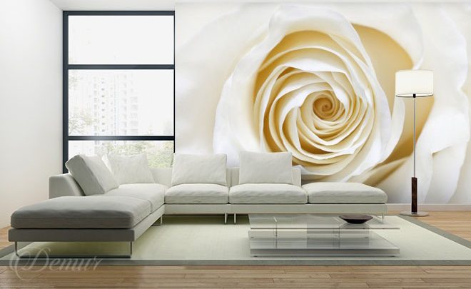 An-ecru-color-rose-flower-wallpapers-demur