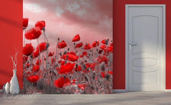 Poppies-in-the-wind-poppy-wallpapers-demur