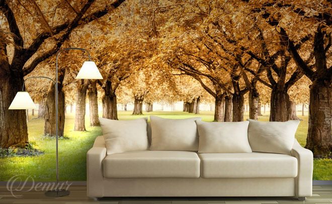 A-fall-season-walk-among-the-trees-living-room-wallpapers-demur