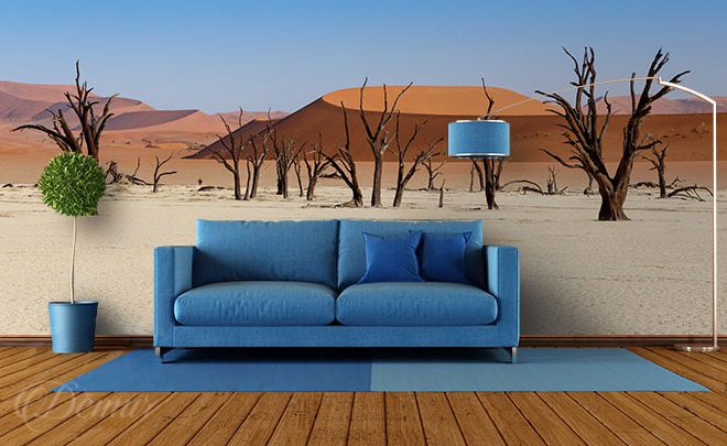 Plants-at-a-desert-landscape-wallpapers-demur