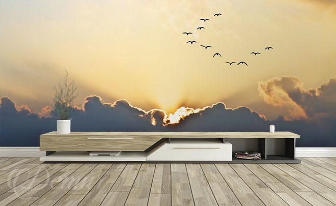 Birds-flying-toward-the-west-sky-wallpapers-demur