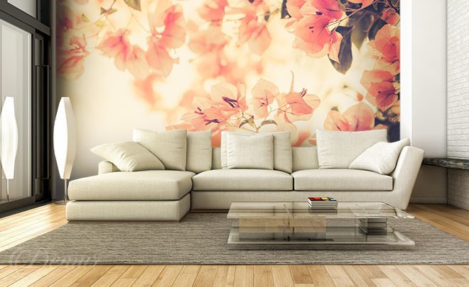 A-spring-color-flower-flower-wallpapers-demur
