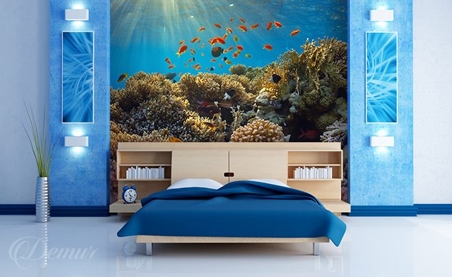 Of-underwater-life-coral-reef-wallpapers-demur