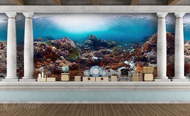 Underwater-anthozoas-coral-reef-wallpapers-demur