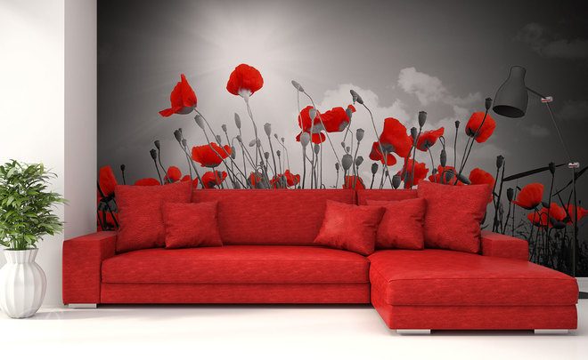 Monochromatism-in-the-colour-of-the-poppy-poppy-wallpapers-demur