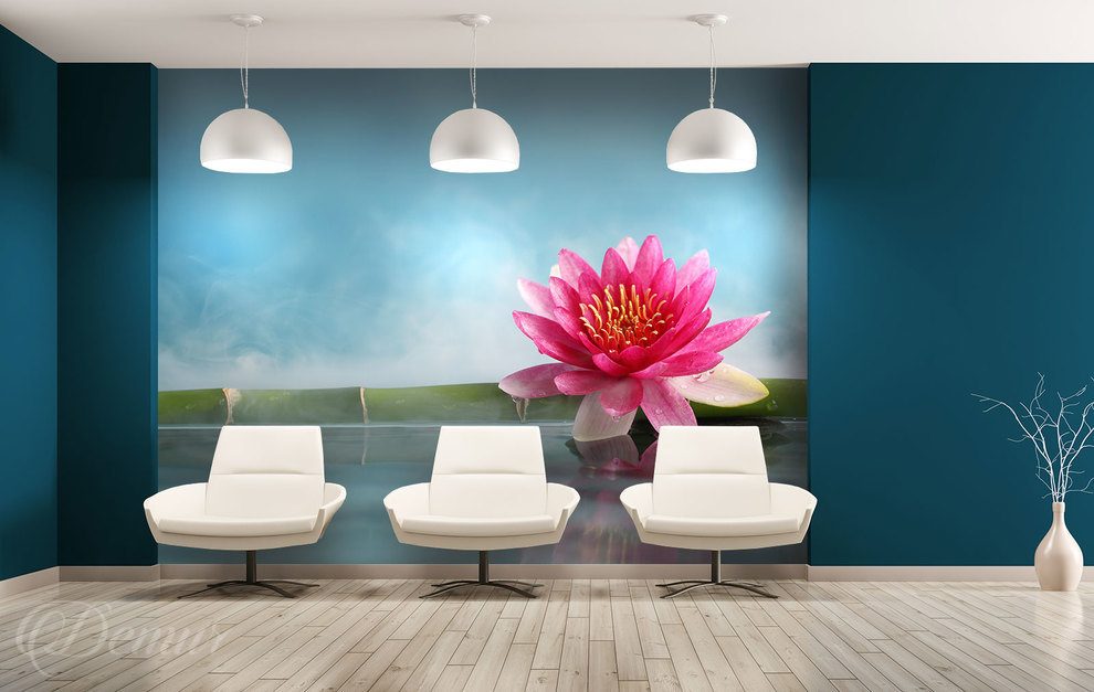 In-the-pink-lotus-flower-flower-wallpapers-demur