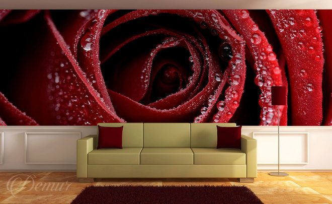 Secrets-of-miss-rose-flower-wallpapers-demur