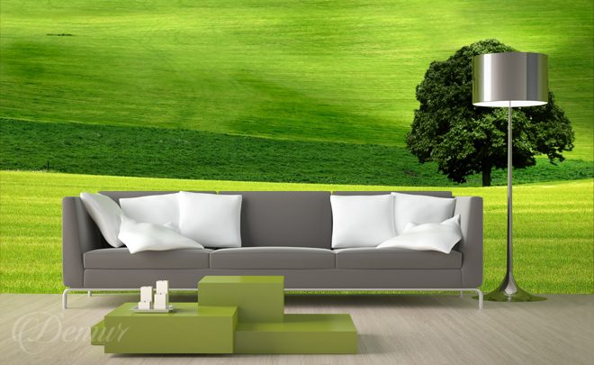 The-color-of-nature-living-room-wallpapers-demur