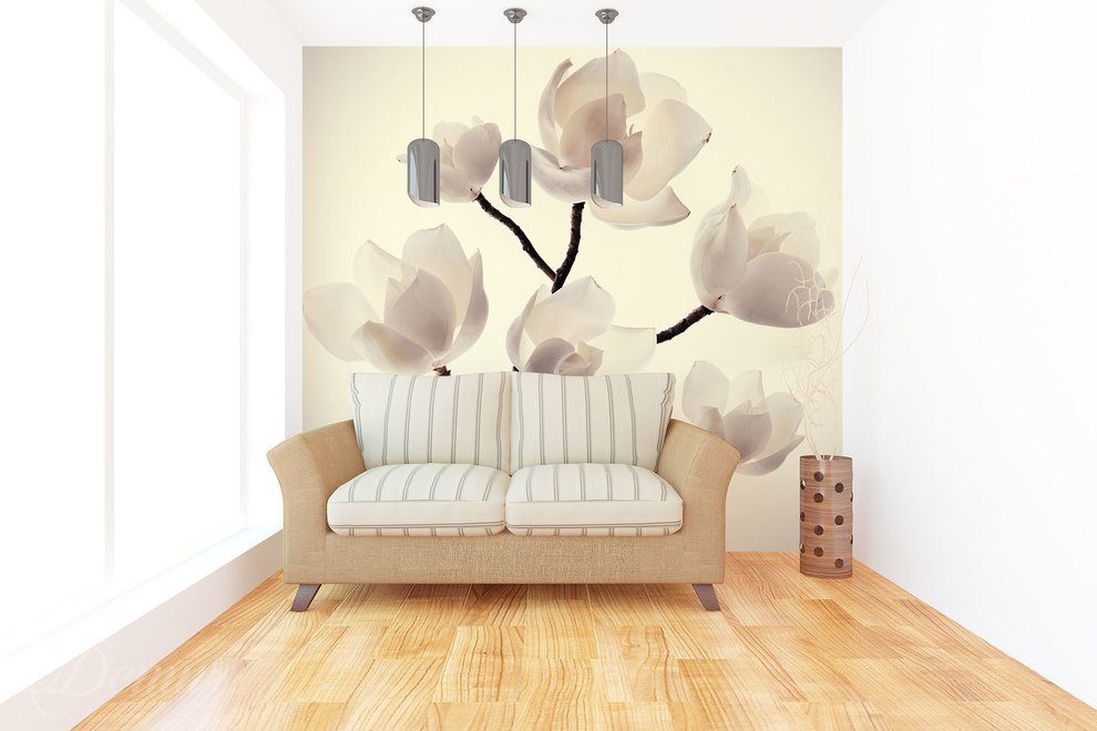 In-the-world-of-a-delicate-magnolia-flower-wallpapers-demur