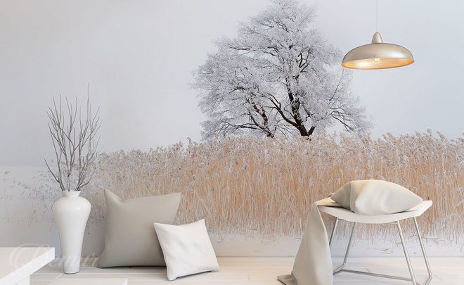 In-the-snowy-majesty-scandinavian-style-wallpapers-demur